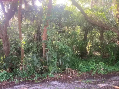 0 Nancy Street Oak Hill FL 32759
