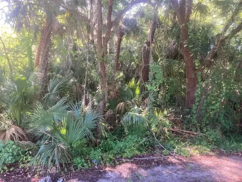 0 Nancy Street Oak Hill FL 32759