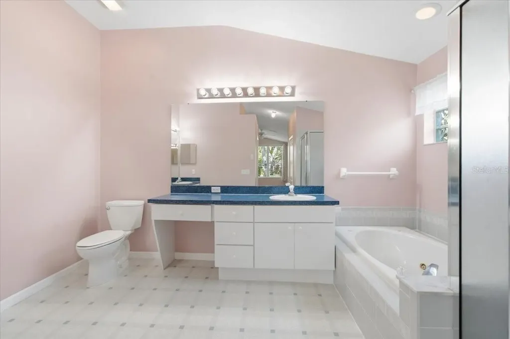 4628 Corsage Drive Lutz FL 33558