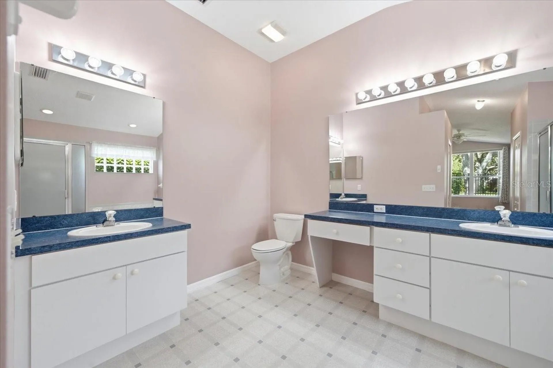 4628 Corsage Drive Lutz FL 33558