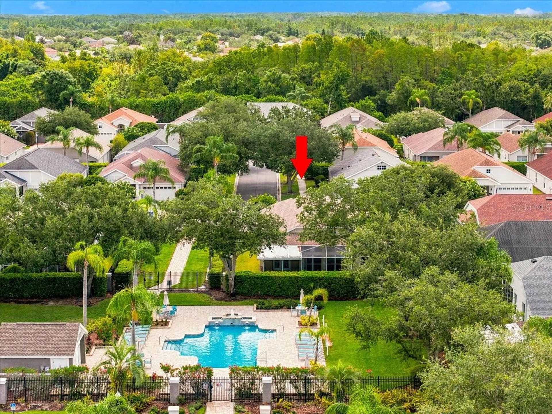 4628 Corsage Drive Lutz FL 33558