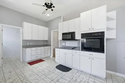 4628 Corsage Drive Lutz FL 33558