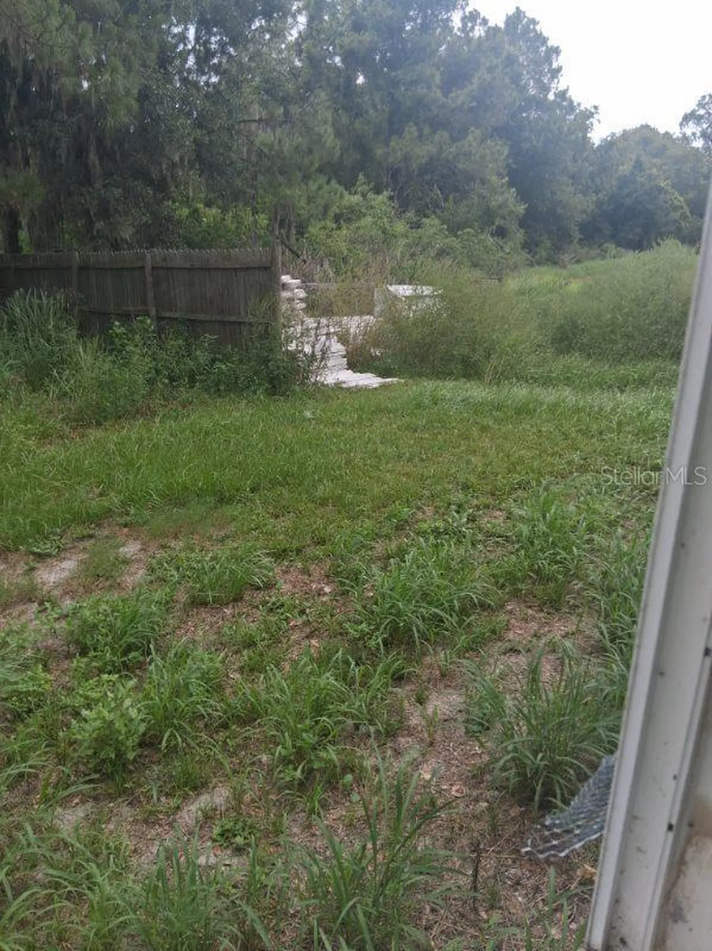 3296 Lake Buffum Road W Fort Meade FL 33841
