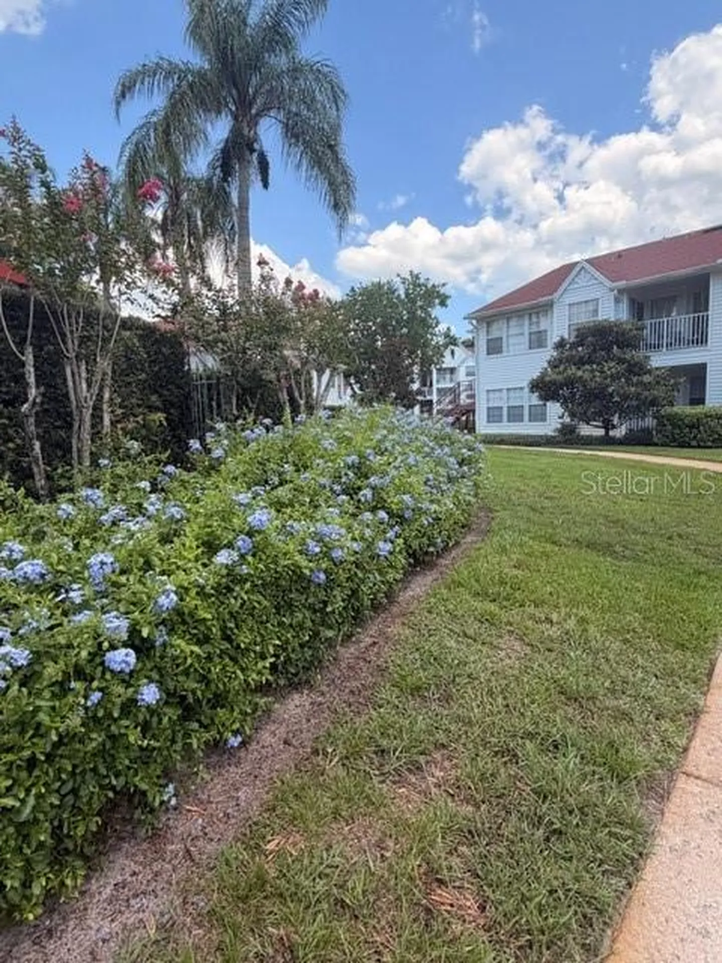 11568 Westwood Boulevard Orlando FL 32821