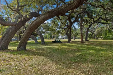 624 Mayo Street Crystal Beach FL 34681