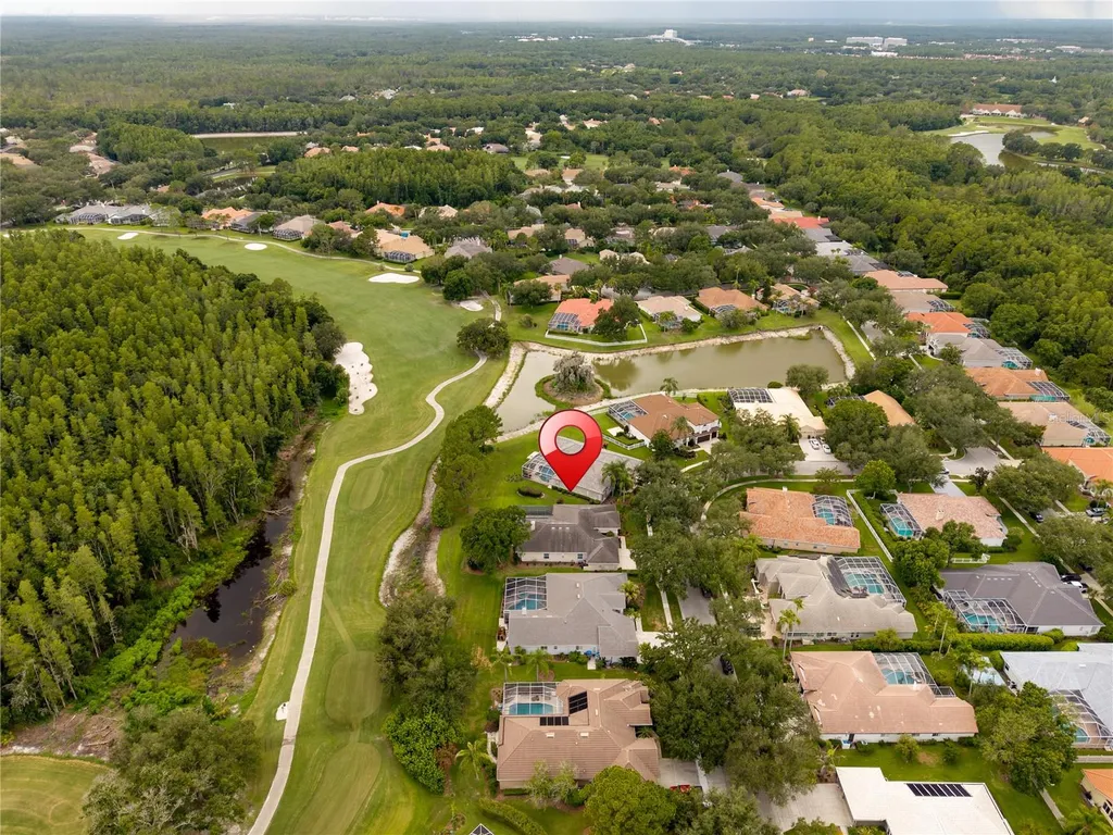 9109 Woodridge Run Drive Tampa FL 33647