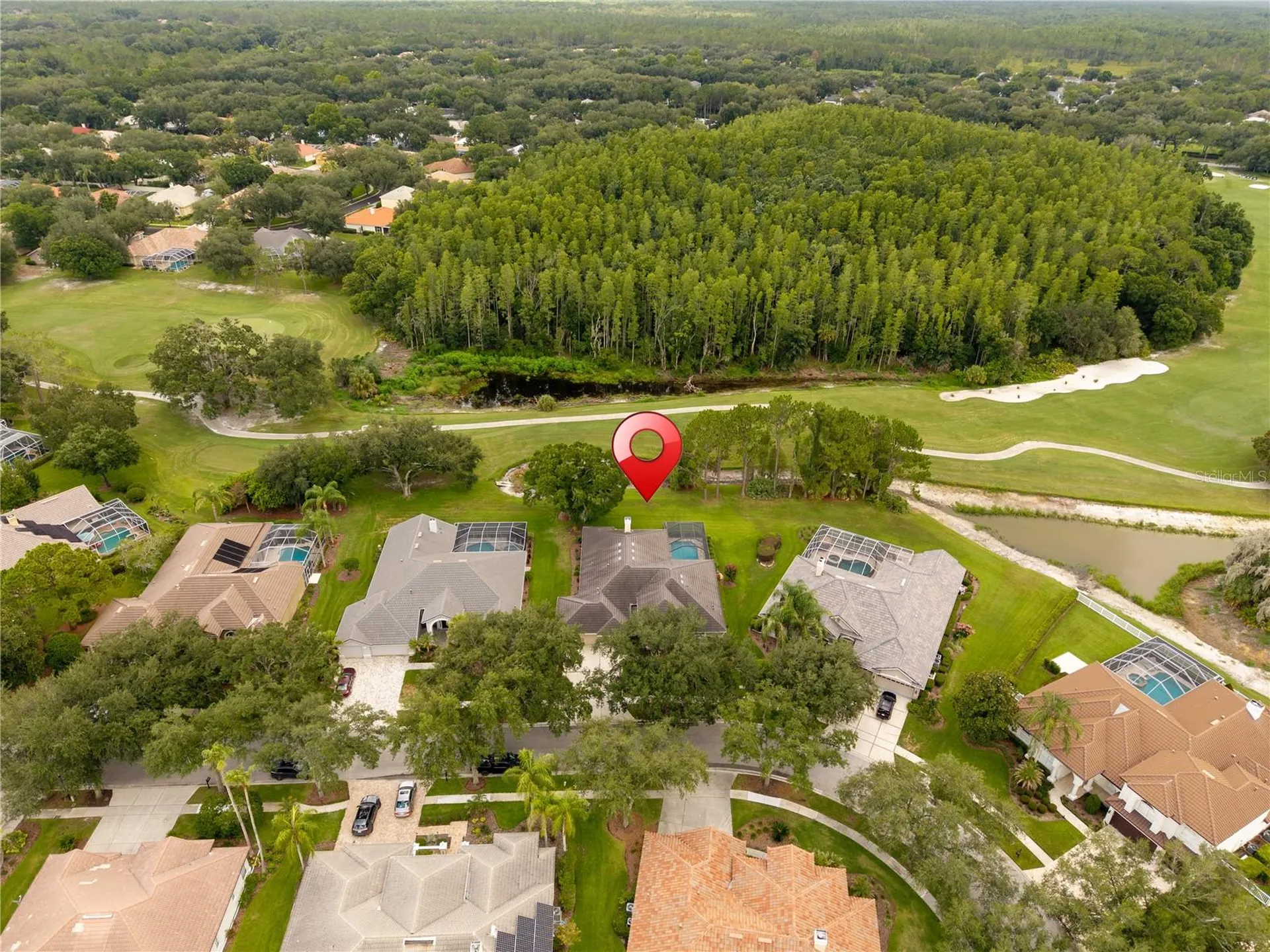 9109 Woodridge Run Drive Tampa FL 33647