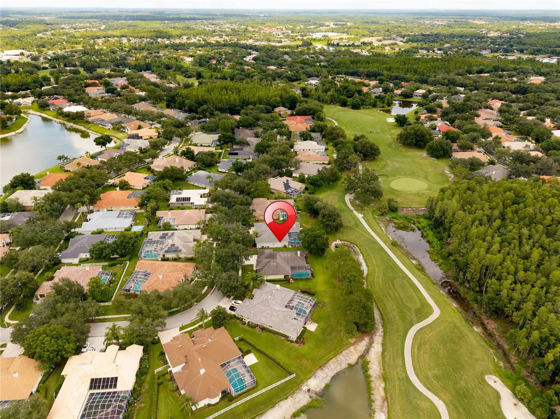 9109 Woodridge Run Drive Tampa FL 33647
