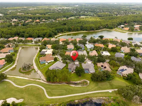 9109 Woodridge Run Drive Tampa FL 33647