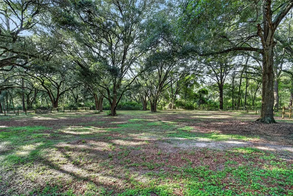 14210 NW Highway 464b Morriston FL 32668