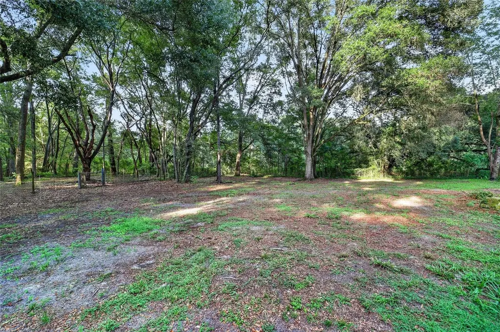 14210 NW Highway 464b Morriston FL 32668