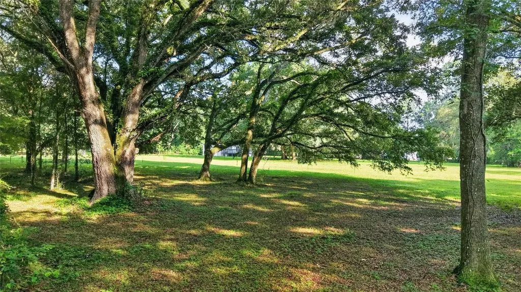 14210 NW Highway 464b Morriston FL 32668