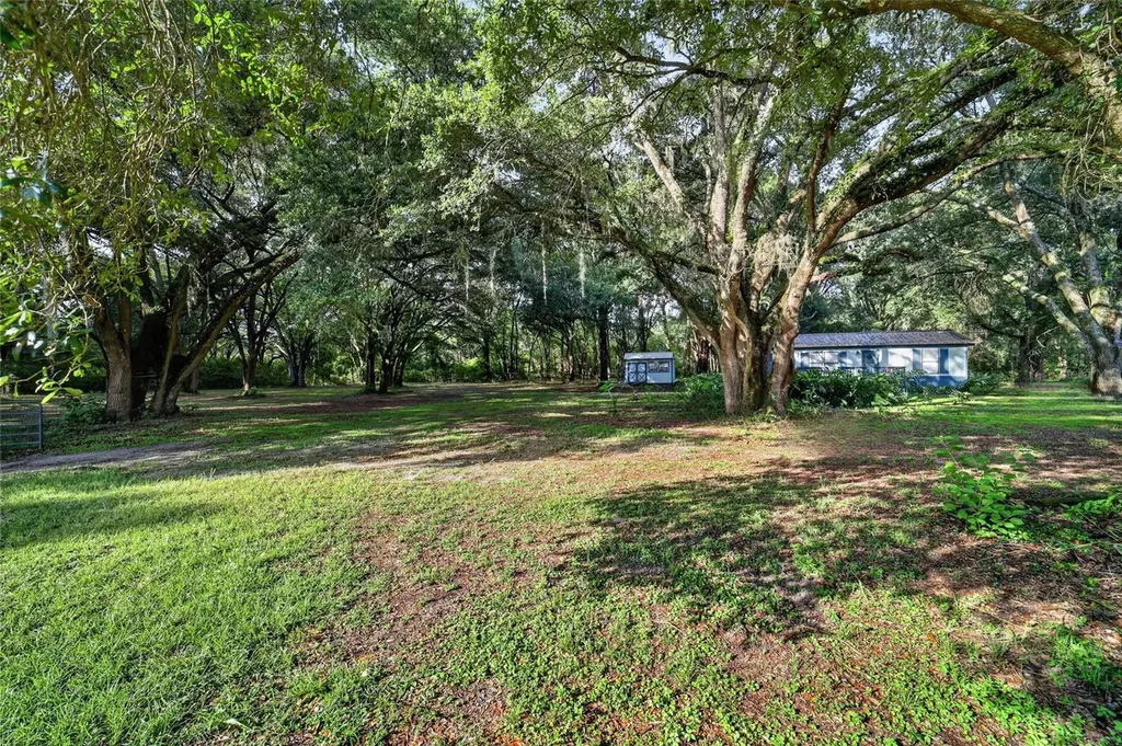 14210 NW Highway 464b Morriston FL 32668