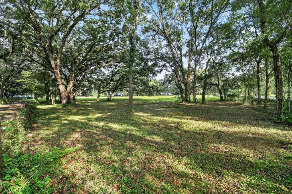 14210 NW Highway 464b Morriston FL 32668