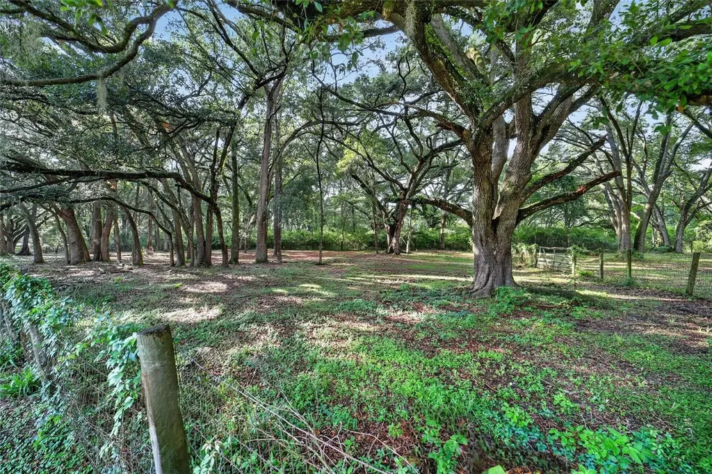 14210 NW Highway 464b Morriston FL 32668