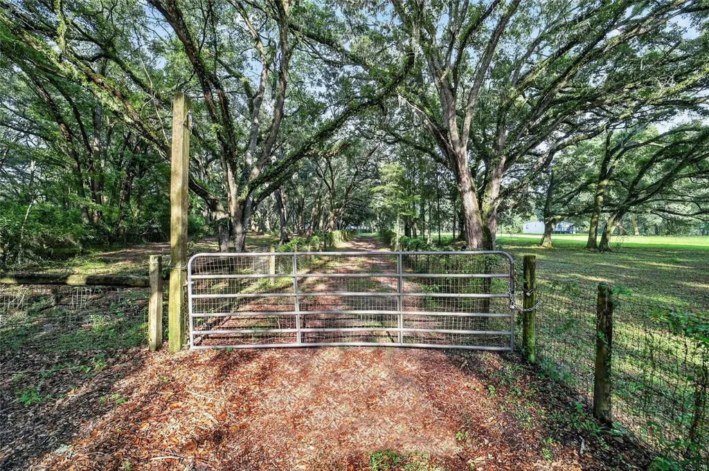 14210 NW Highway 464b Morriston FL 32668
