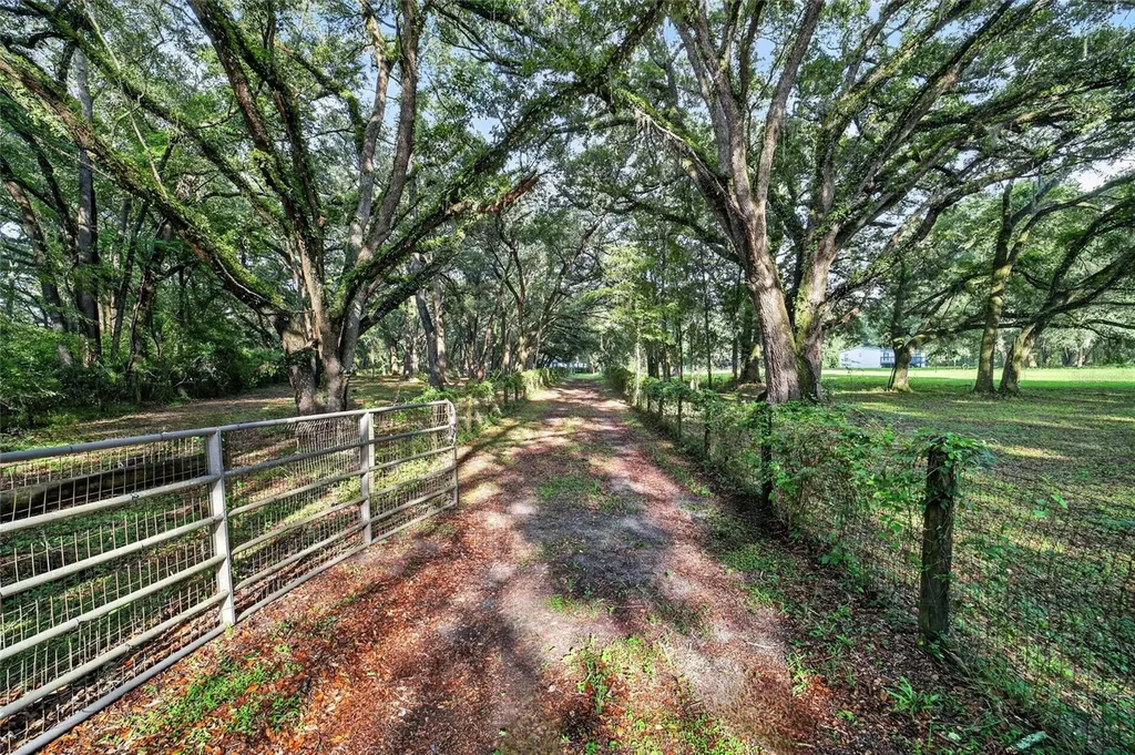 14210 NW Highway 464b Morriston FL 32668