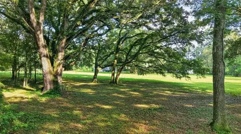 14210 NW Highway 464b Morriston FL 32668