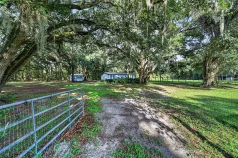 14210 NW Highway 464b Morriston FL 32668