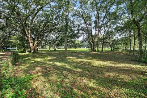 14210 NW Highway 464b Morriston FL 32668