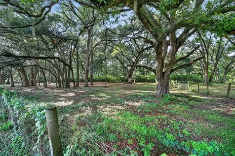 14210 NW Highway 464b Morriston FL 32668