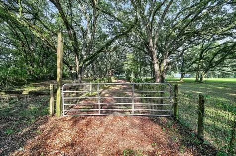 14210 NW Highway 464b Morriston FL 32668