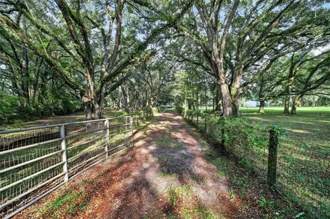 14210 NW Highway 464b Morriston FL 32668