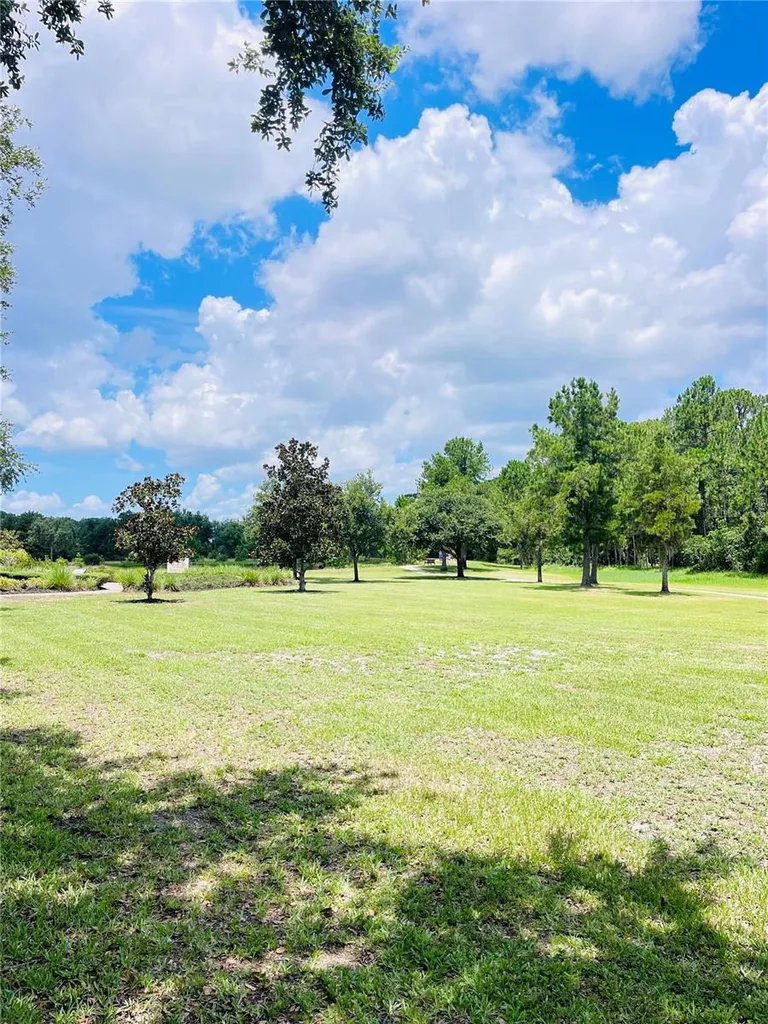 3485 Middlebrook Place Harmony FL 34773