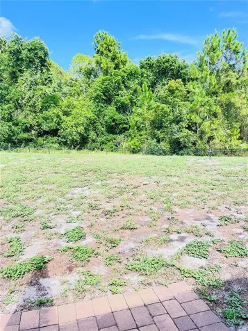 3485 Middlebrook Place Harmony FL 34773
