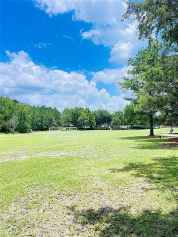 3485 Middlebrook Place Harmony FL 34773