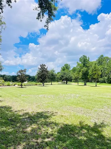 3485 Middlebrook Place Harmony FL 34773