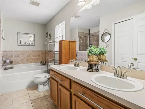 2620 Buckhorn Preserve Boulevard Valrico FL 33596