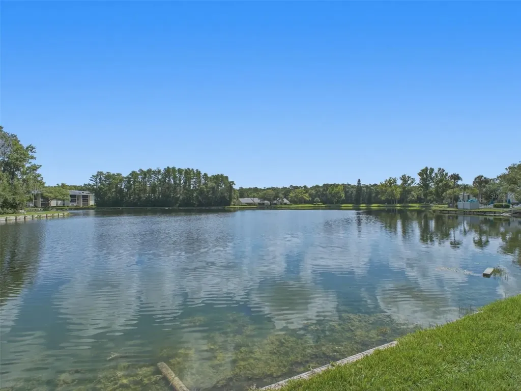 3101 Lake Pine Way Tarpon Springs FL 34688