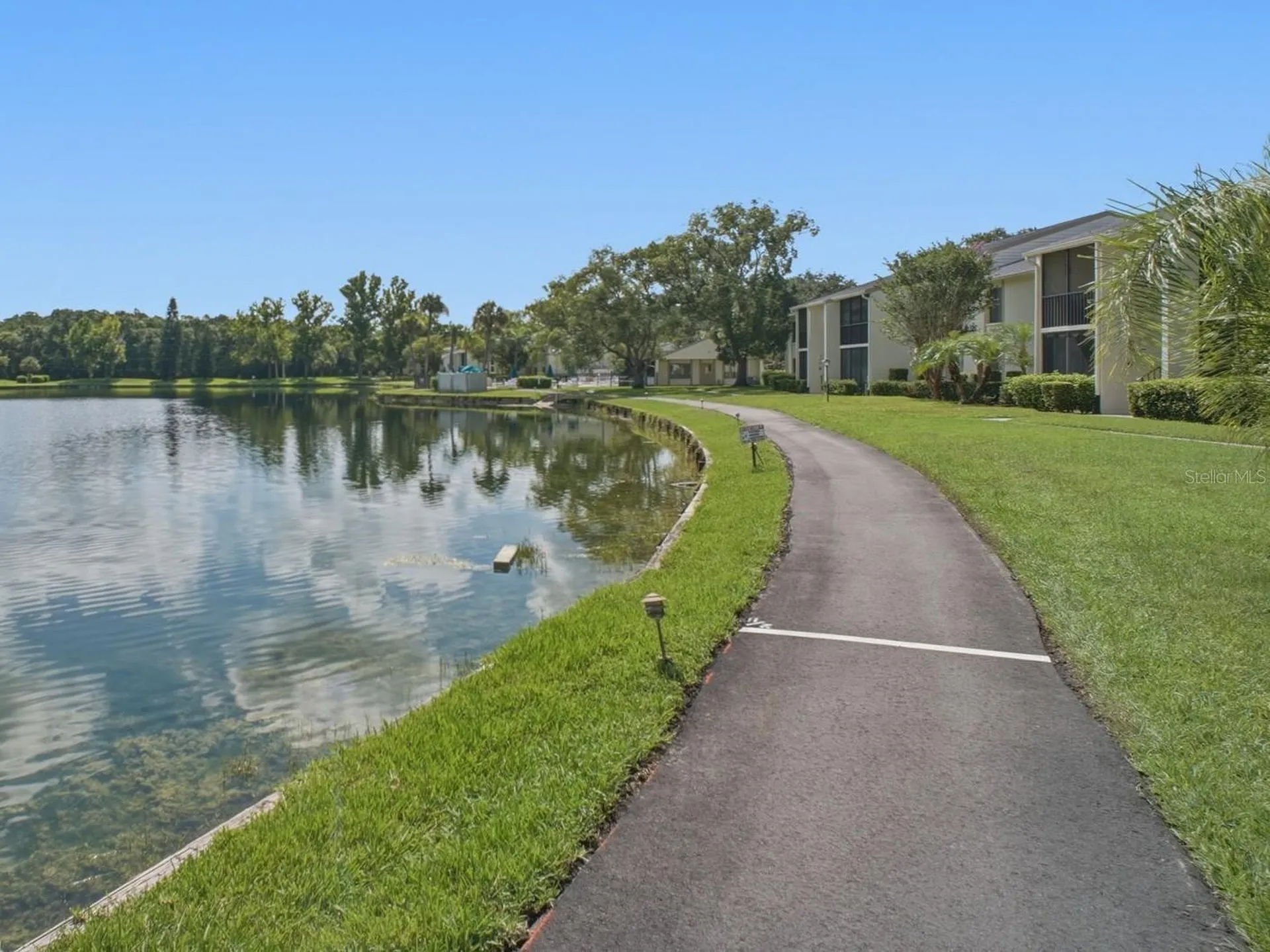 3101 Lake Pine Way Tarpon Springs FL 34688