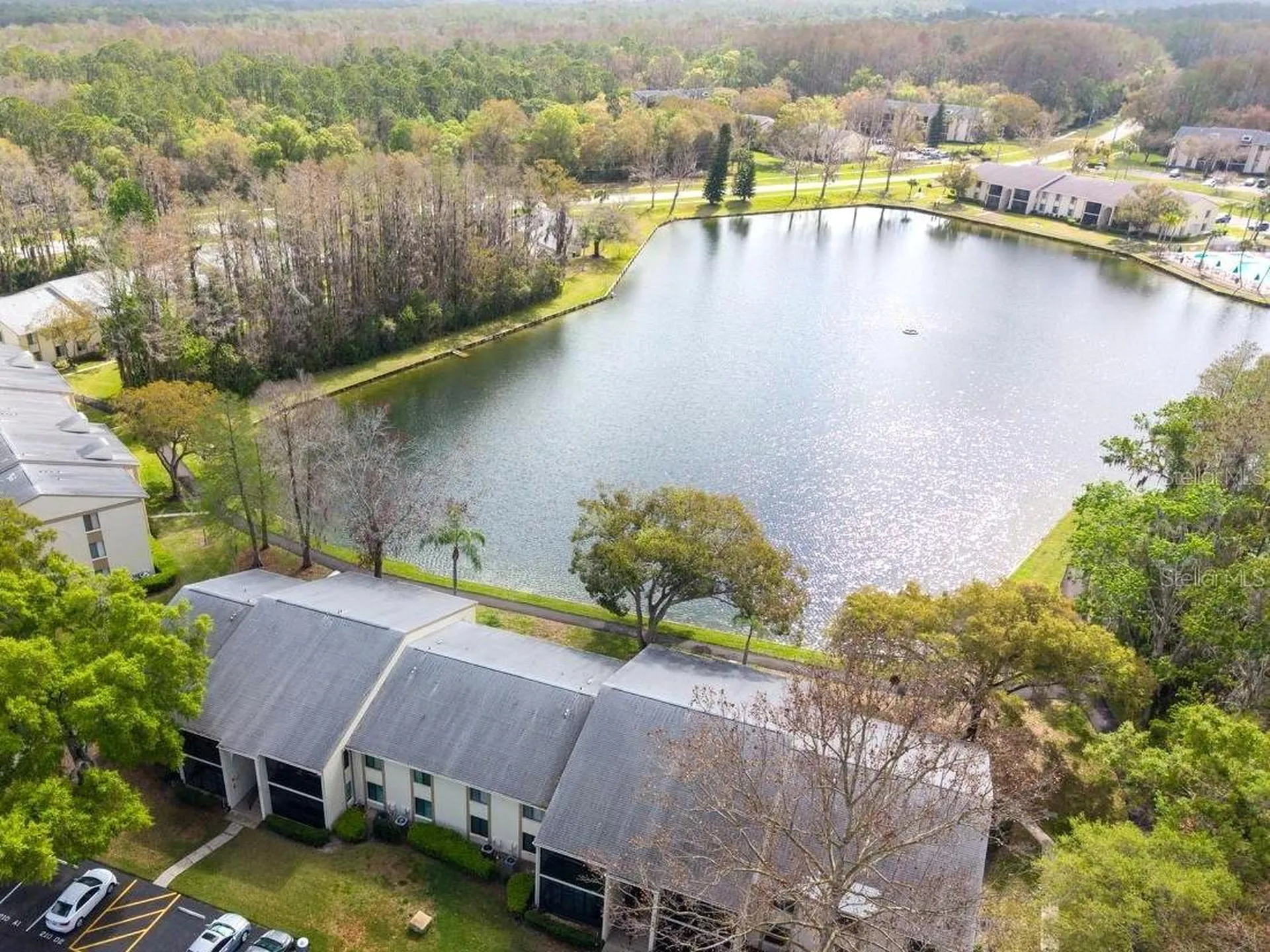 3101 Lake Pine Way Tarpon Springs FL 34688