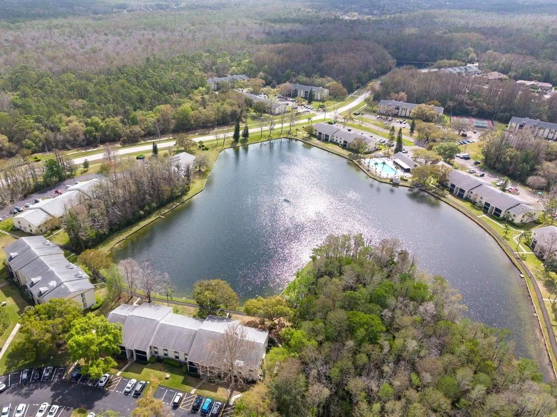 3101 Lake Pine Way Tarpon Springs FL 34688