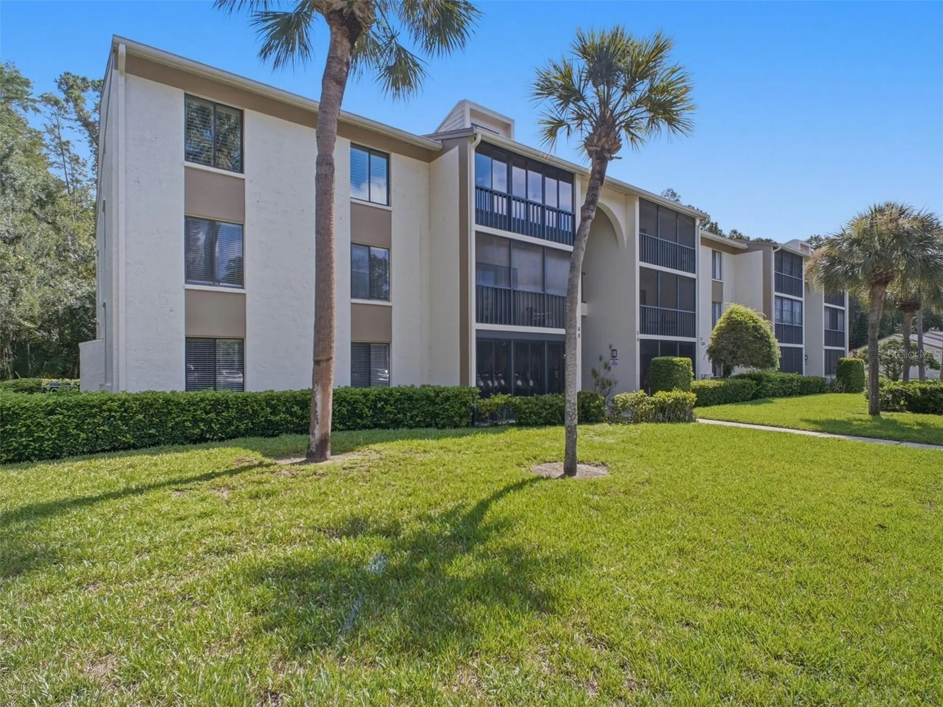 3101 Lake Pine Way Tarpon Springs FL 34688