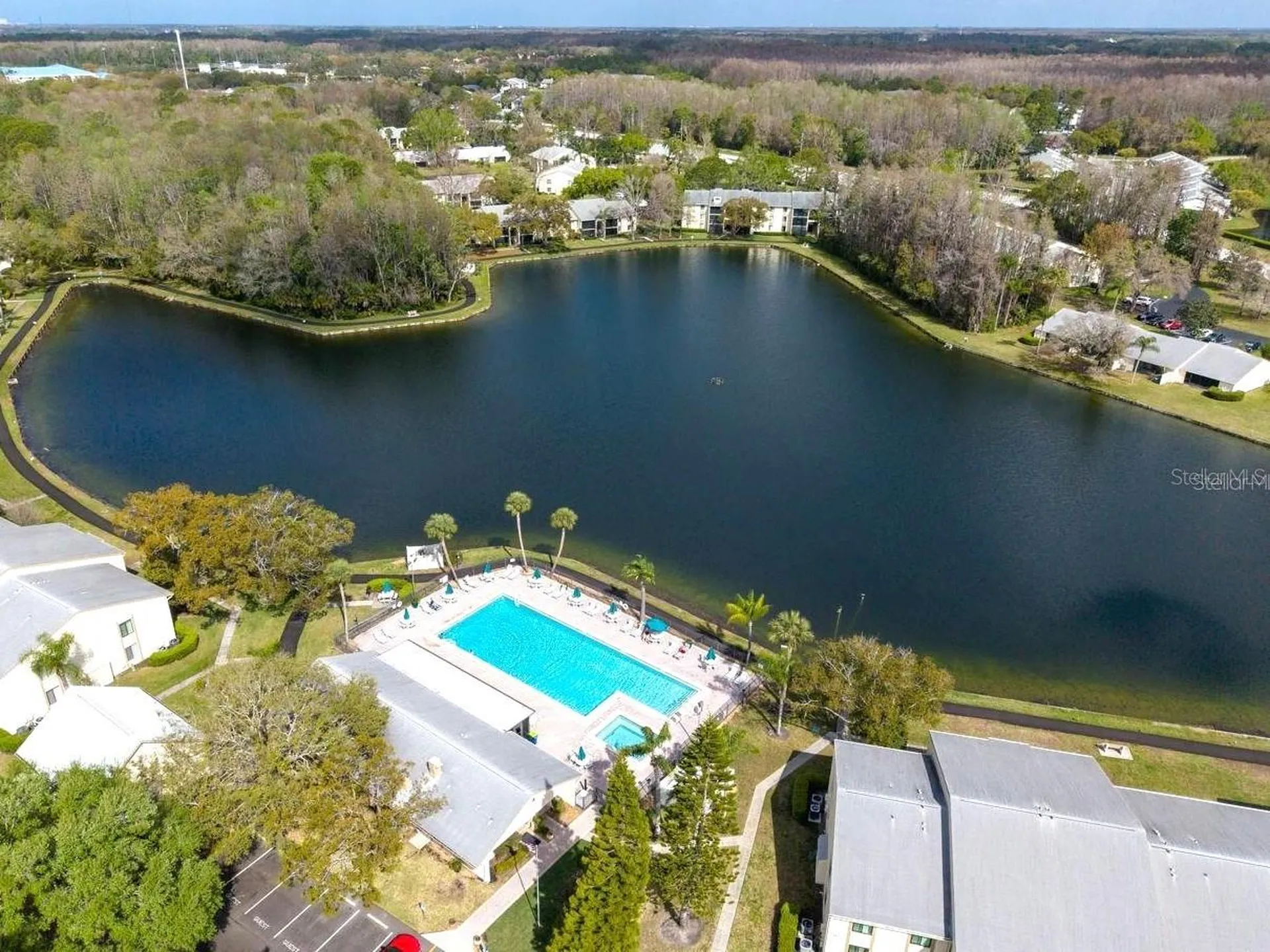 3101 Lake Pine Way Tarpon Springs FL 34688