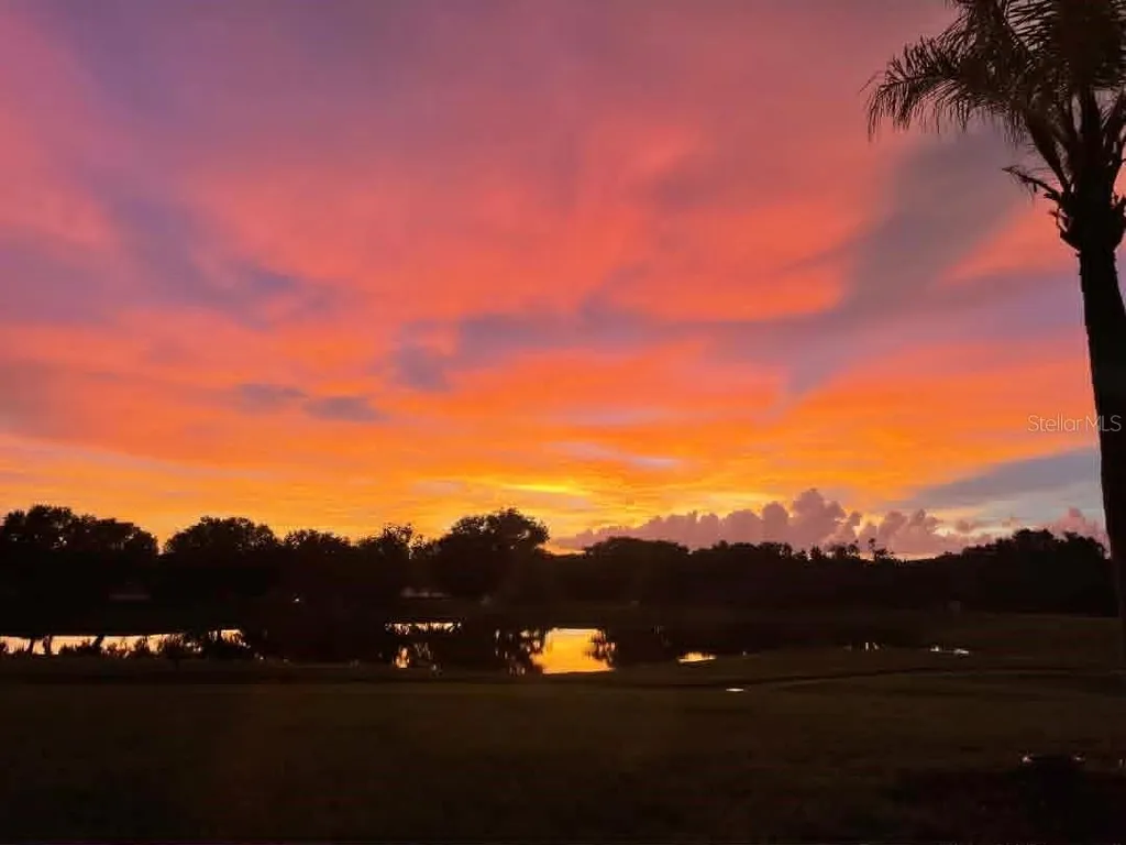 13301 Thoroughbred Drive Dade City FL 33525