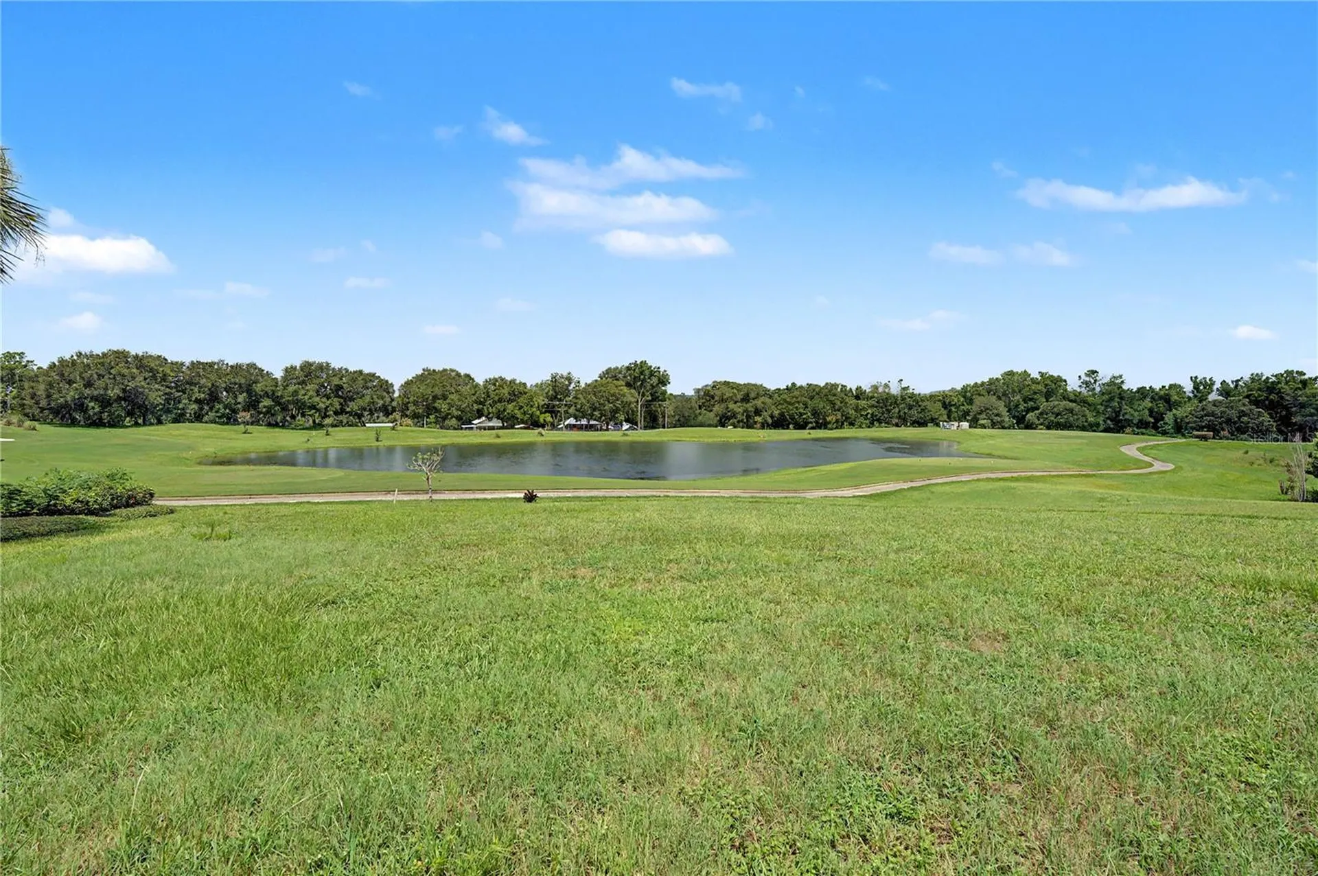13301 Thoroughbred Drive Dade City FL 33525