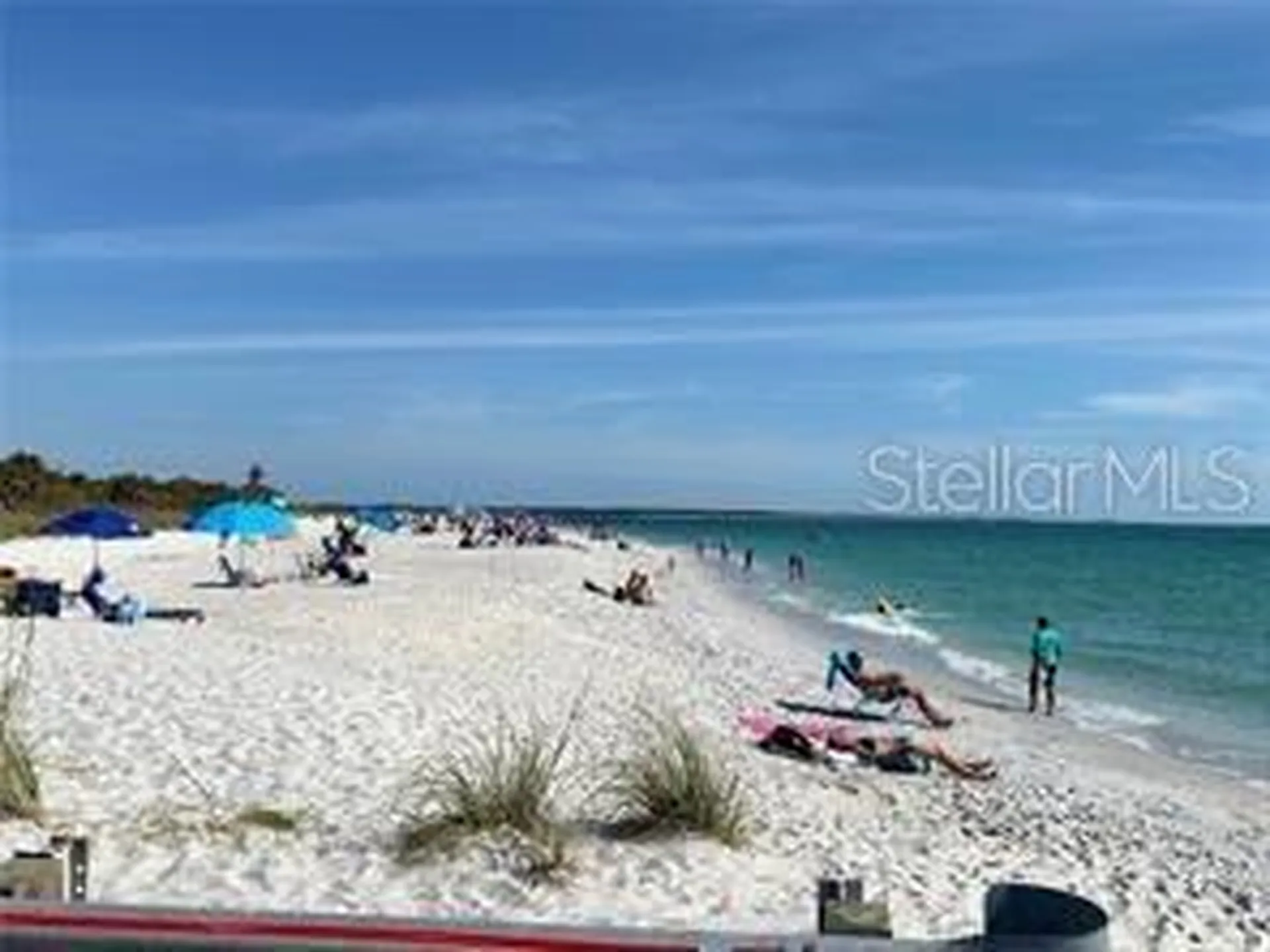 615 S Palm Avenue Sarasota FL 34236