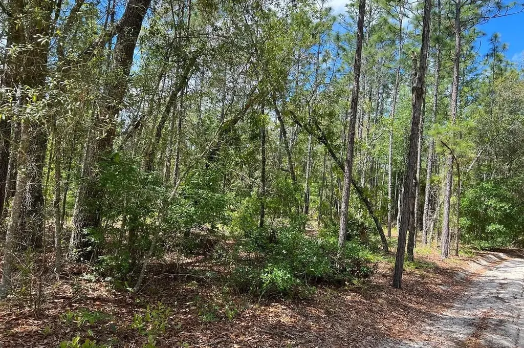 0000 Lady Bug Lane Melrose FL 32666