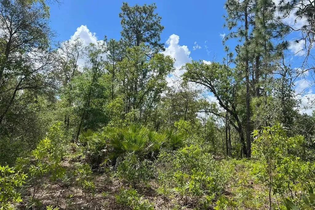 0000 Lady Bug Lane Melrose FL 32666