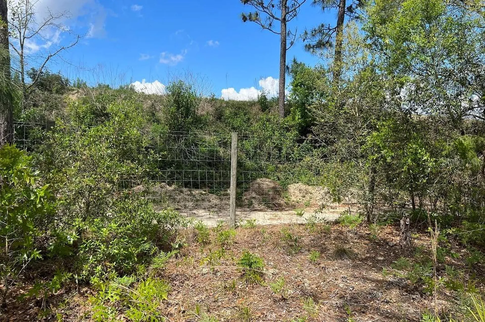 0000 Lady Bug Lane Melrose FL 32666