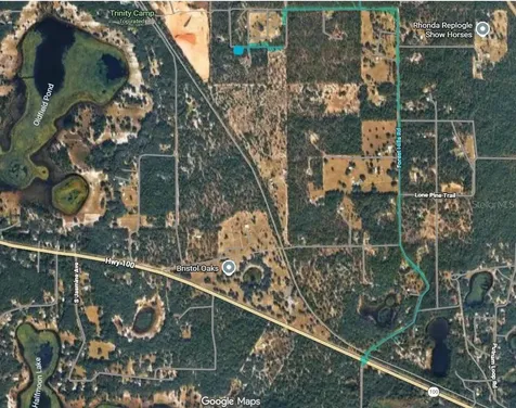0000 Lady Bug Lane Melrose FL 32666