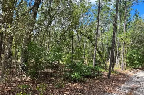 0000 Lady Bug Lane Melrose FL 32666