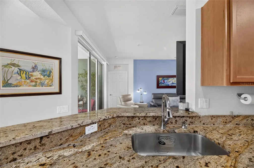 2224 Kings Palace Drive Riverview FL 33578