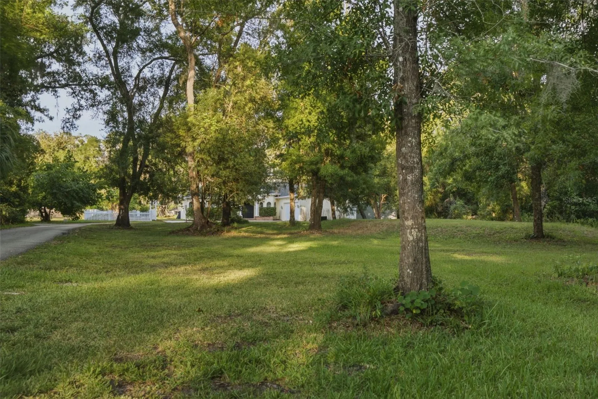19715 Deer Lake Road Lutz FL 33548