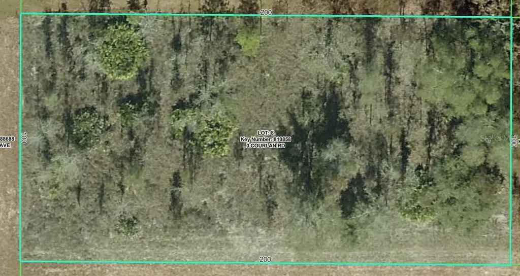 Courlan Road Weeki Wachee FL 34614