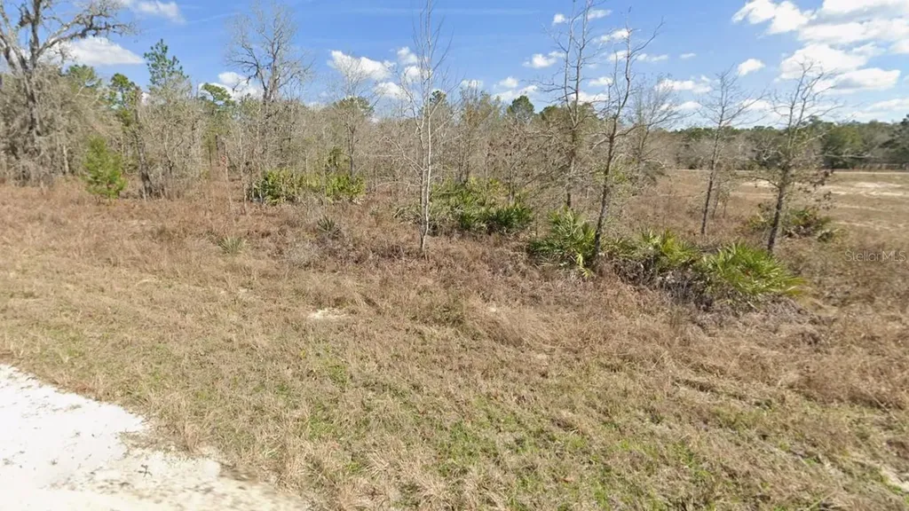 Courlan Road Weeki Wachee FL 34614